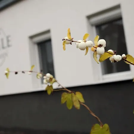 Etoile *